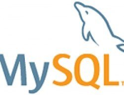 MySQL Database para Web Server