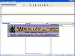 Como é o Browser WebReaper