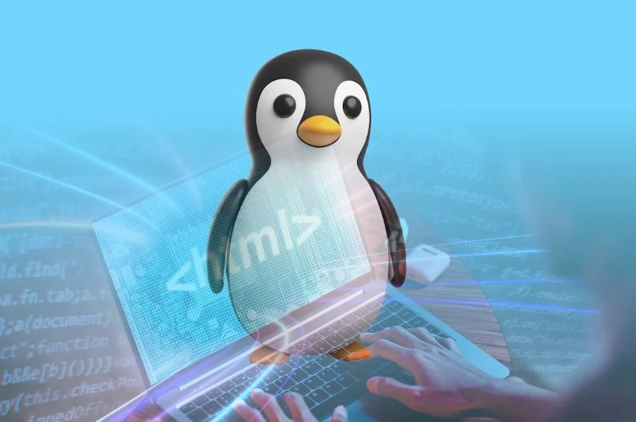 Sistemas operacionais de servidores web baseados em Linux