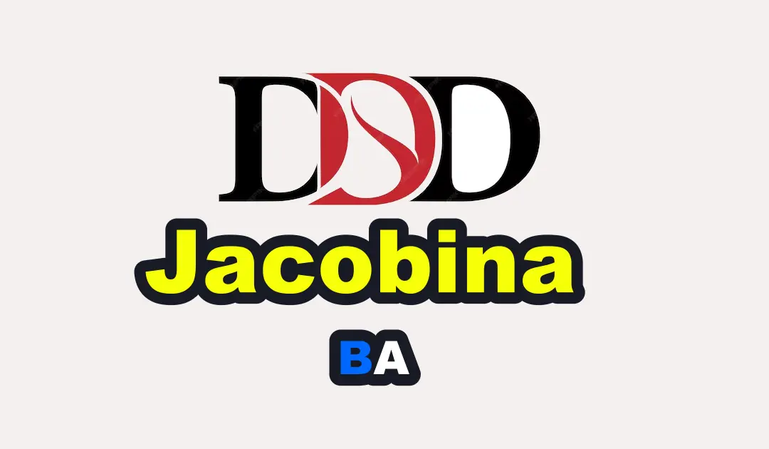 Descubra o DDD de Jacobina