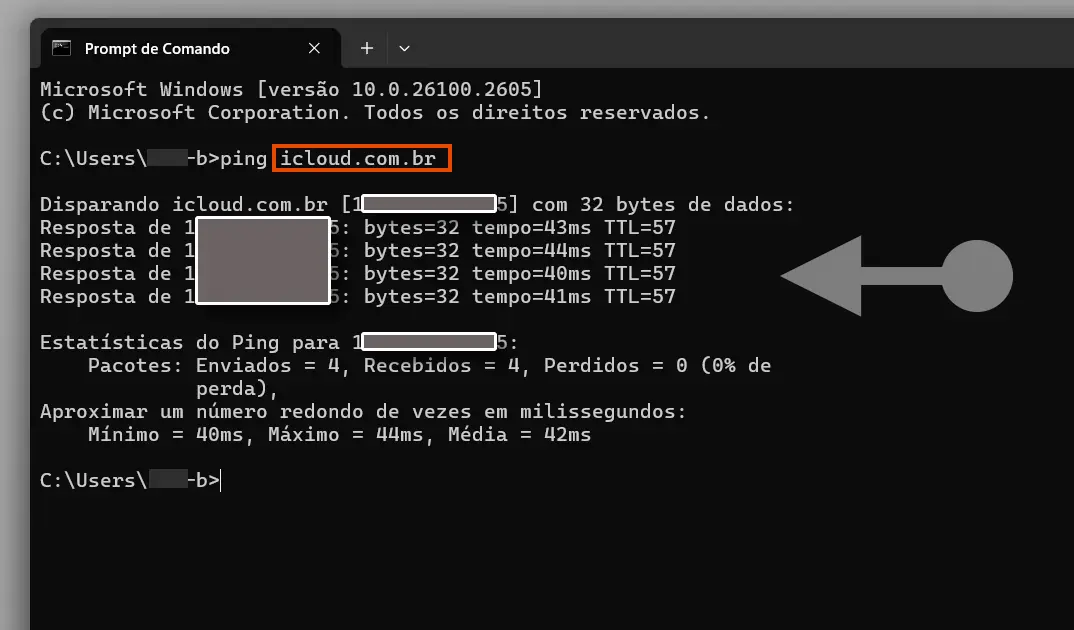 Comando PING no Prompt com o nome do domínio