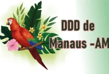 DDD de Manaus - AM