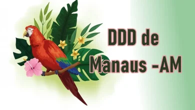 DDD de Manaus - AM