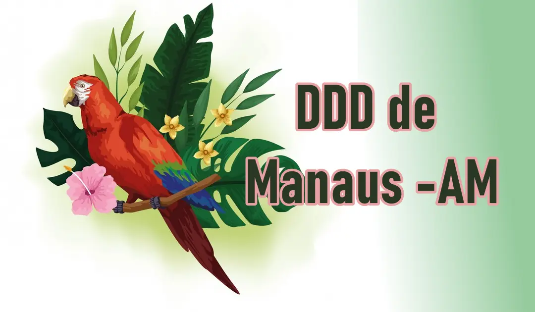 DDD de Manaus - AM