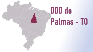 DDD De Palmas - TO