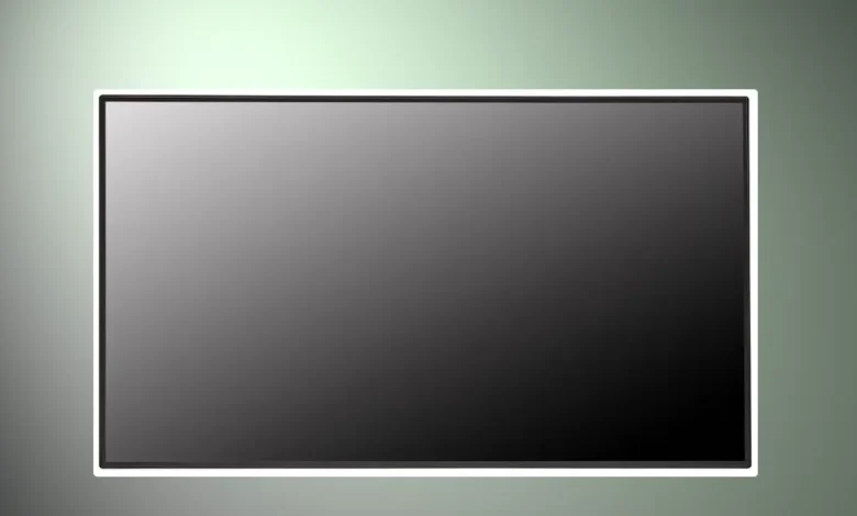 Monitor Profissional LG Stand Alone